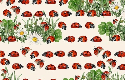 Coccinelle